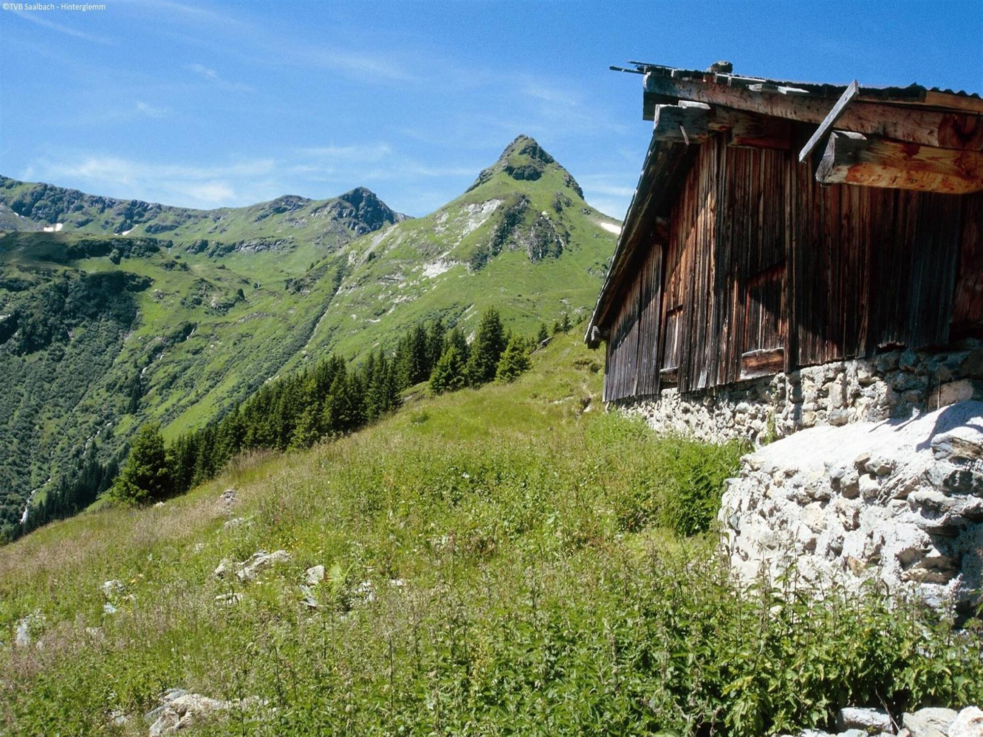 Modern Chalet With Sauna Near Ski Area In Saalbach Hinterglemm Salzburgerland エクステリア 写真