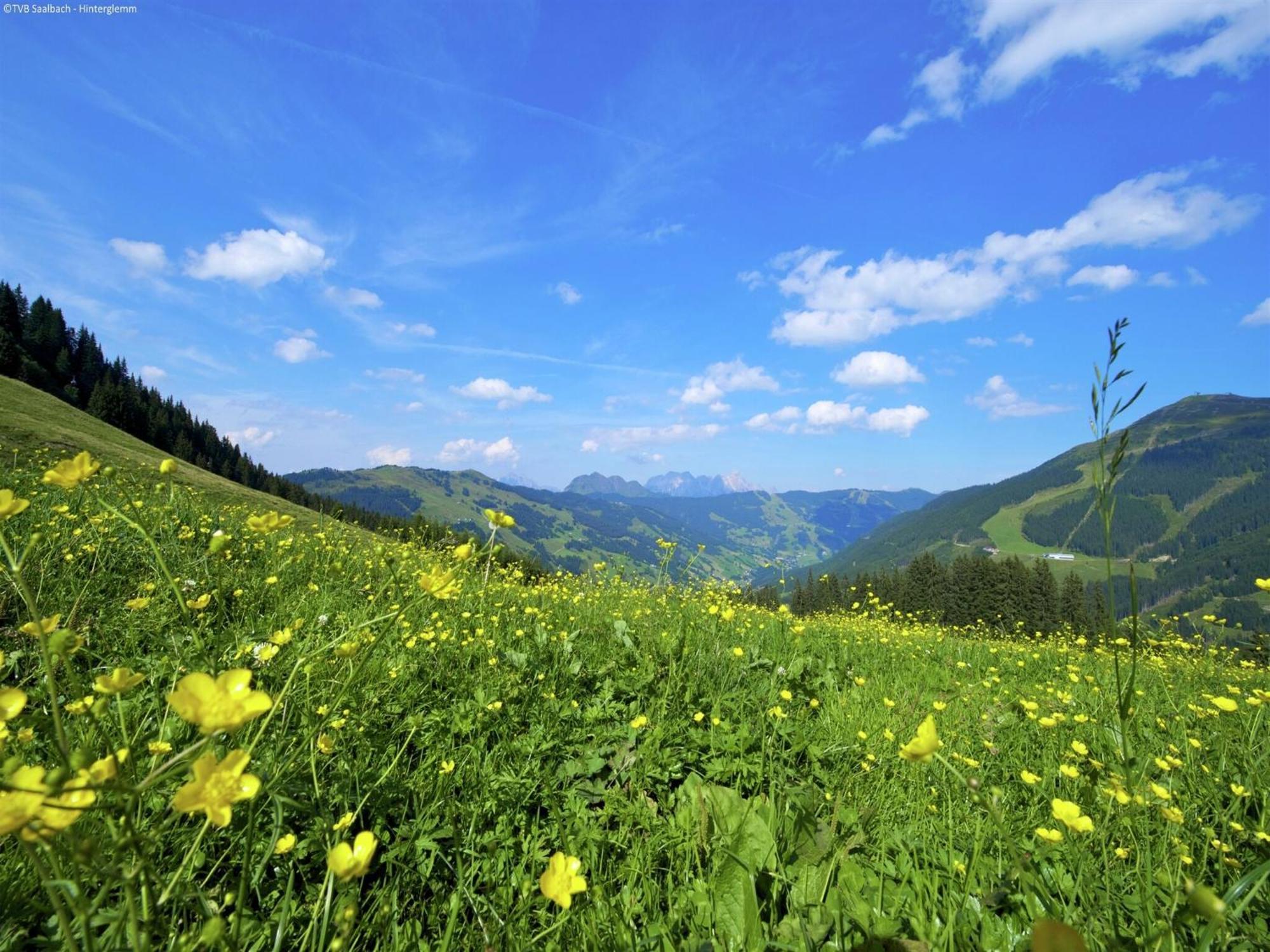 Modern Chalet With Sauna Near Ski Area In Saalbach Hinterglemm Salzburgerland エクステリア 写真